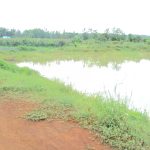 Environmental Management