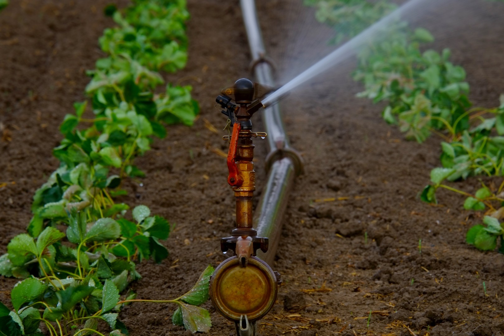 Irrigation and Drainage Projects